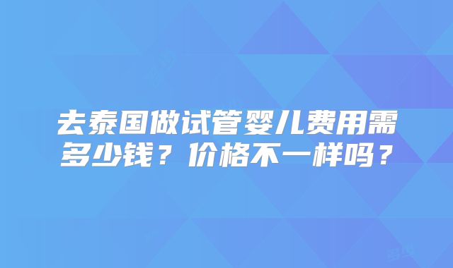 去泰国做试管婴儿费用需多少钱？价格不一样吗？