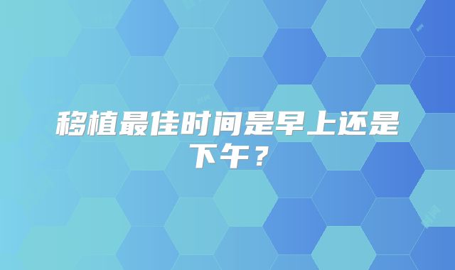 移植最佳时间是早上还是下午？