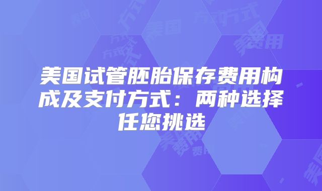 美国试管胚胎保存费用构成及支付方式：两种选择任您挑选