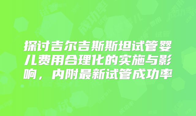 探讨吉尔吉斯斯坦试管婴儿费用合理化的实施与影响，内附最新试管成功率