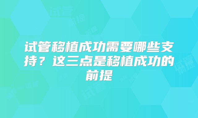 试管移植成功需要哪些支持？这三点是移植成功的前提