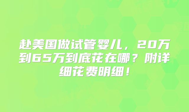 赴美国做试管婴儿,20万到65万到底花在哪?附详细花费明细!