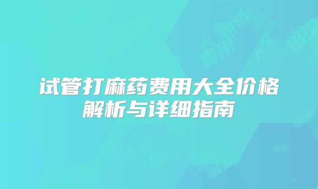 试管打麻药费用大全价格解析与详细指南
