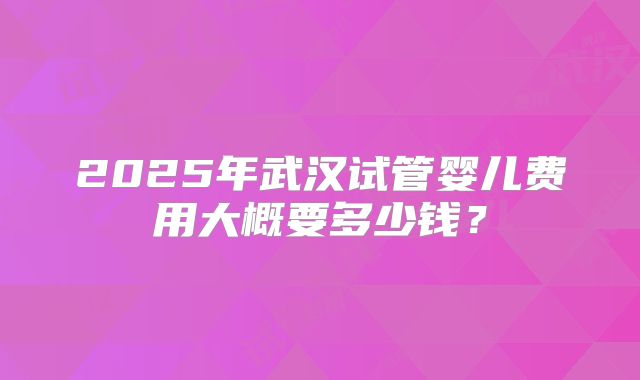 2025年武汉试管婴儿费用大概要多少钱?