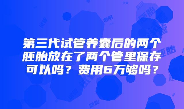 第三代试管养囊后的两个胚胎放在了两个管里保存可以吗？费用6万够吗？