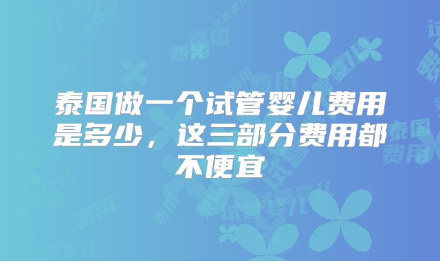 泰国做一个试管婴儿费用是多少，这三部分费用都不便宜