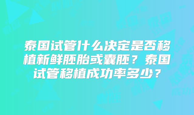 泰国试管什么决定是否移植新鲜胚胎或囊胚？泰国试管移植成功率多少？