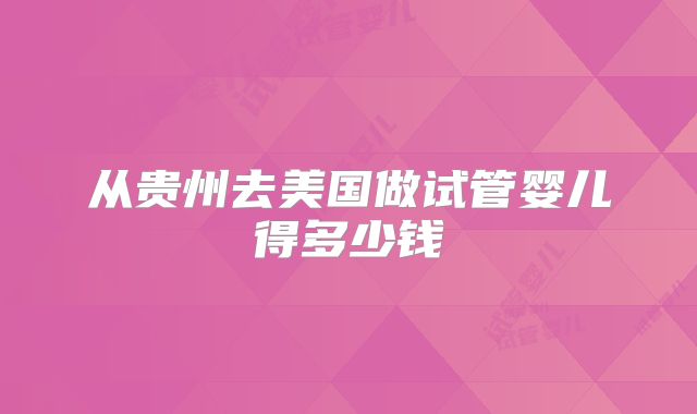 从贵州去美国做试管婴儿得多少钱