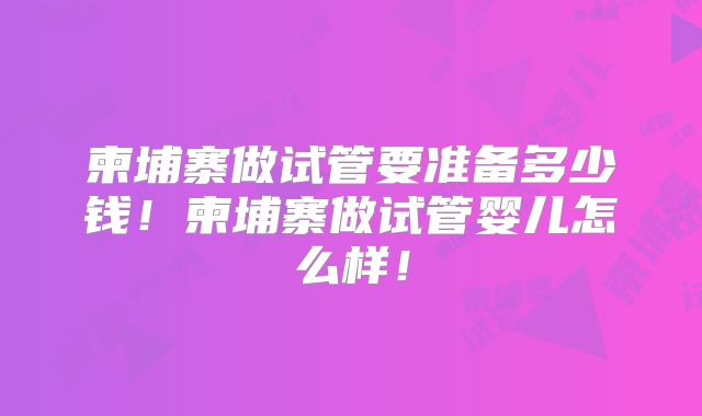 柬埔寨做试管要准备多少钱！柬埔寨做试管婴儿怎么样！