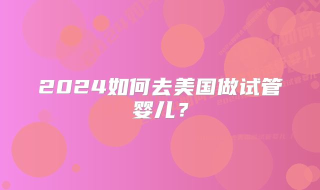 2024如何去美国做试管婴儿？