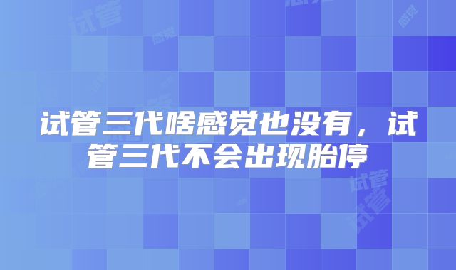 试管三代啥感觉也没有,试管三代不会出现胎停