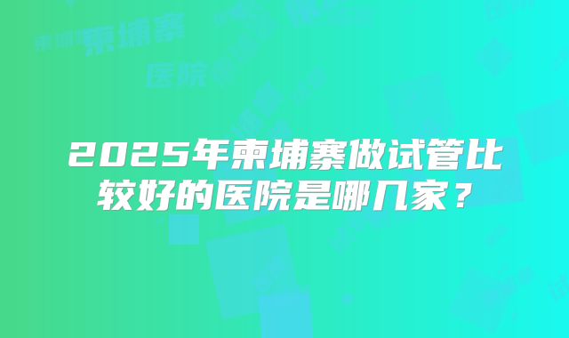 2025年柬埔寨做试管比较好的医院是哪几家？