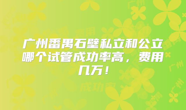 广州番禺石壁私立和公立哪个试管成功率高，费用几万！