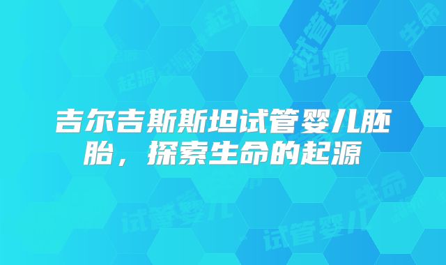 吉尔吉斯斯坦试管婴儿胚胎,探索生命的起源