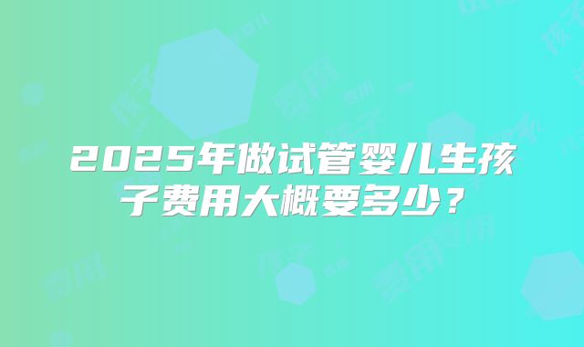 2025年做试管婴儿生孩子费用大概要多少？