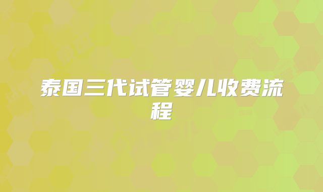 泰国三代试管婴儿收费流程
