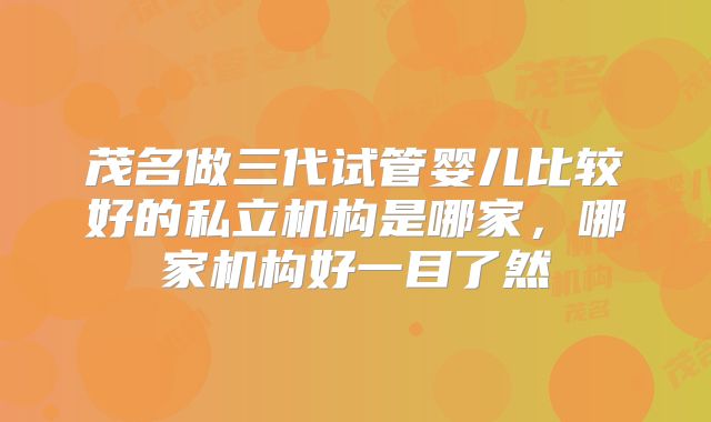 茂名做三代试管婴儿比较好的私立机构是哪家，哪家机构好一目了然