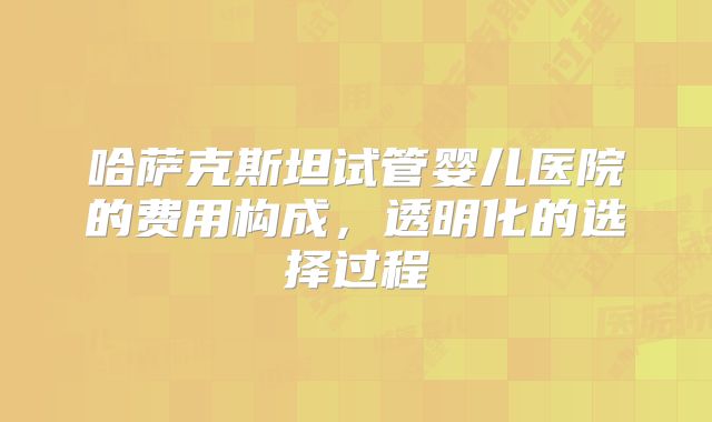 哈萨克斯坦试管婴儿医院的费用构成，透明化的选择过程