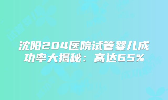沈阳204医院试管婴儿成功率大揭秘：高达65%
