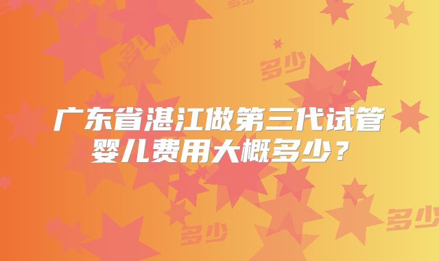 广东省湛江做第三代试管婴儿费用大概多少？