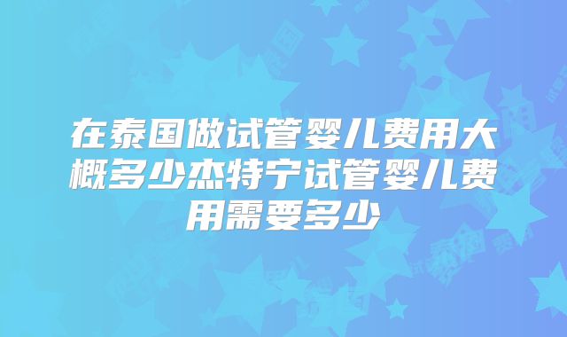 在泰国做试管婴儿费用大概多少杰特宁试管婴儿费用需要多少