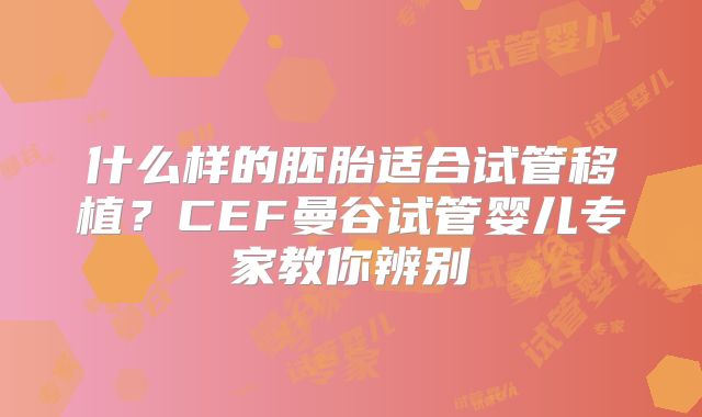 什么样的胚胎适合试管移植？CEF曼谷试管婴儿专家教你辨别