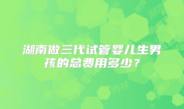 湖南做三代试管婴儿生男孩的总费用多少？