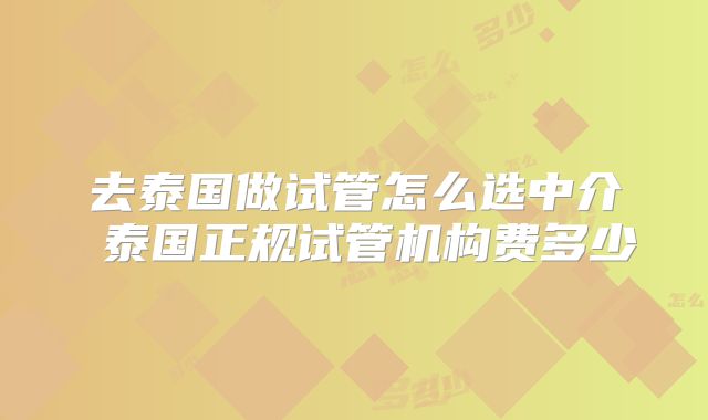 去泰国做试管怎么选中介 泰国正规试管机构费多少