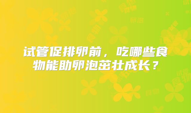 试管促排卵前，吃哪些食物能助卵泡茁壮成长？