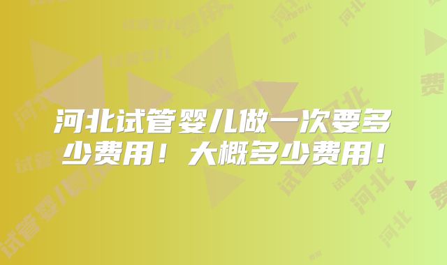 河北试管婴儿做一次要多少费用！大概多少费用！