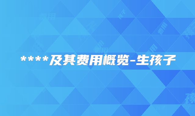 ****及其费用概览-生孩子
