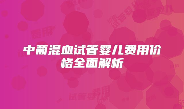 中葡混血试管婴儿费用价格全面解析