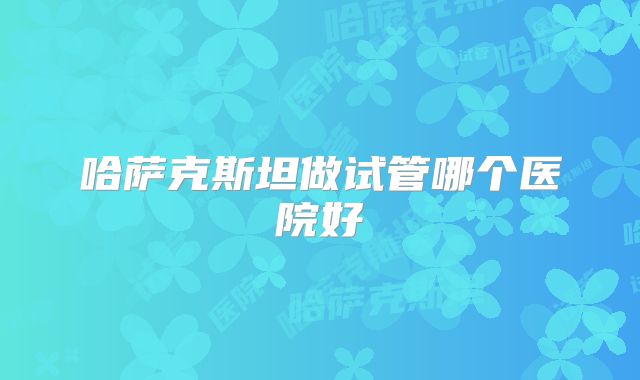 哈萨克斯坦做试管哪个医院好