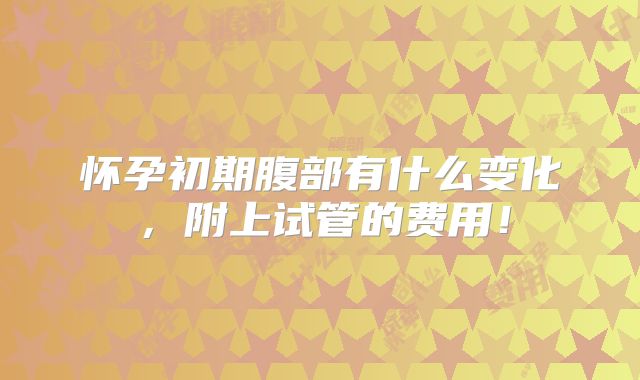 怀孕初期腹部有什么变化,附上试管的费用!