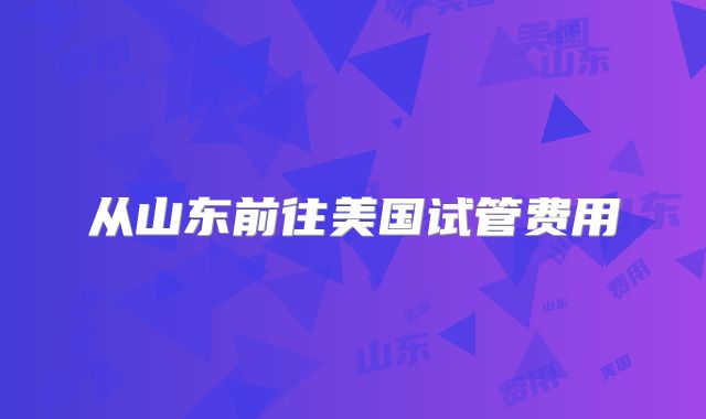 从山东前往美国试管费用