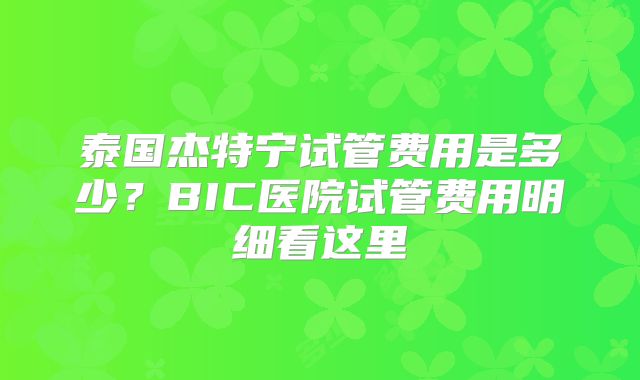 泰国杰特宁试管费用是多少？BIC医院试管费用明细看这里