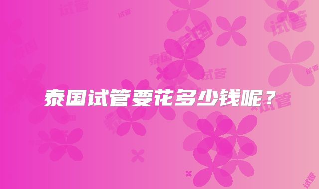 泰国试管要花多少钱呢?