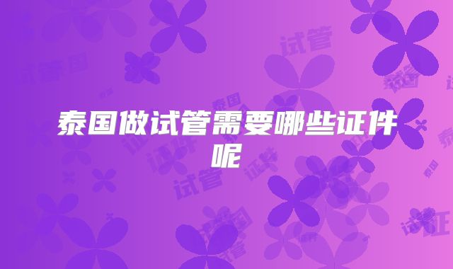 泰国做试管需要哪些证件呢