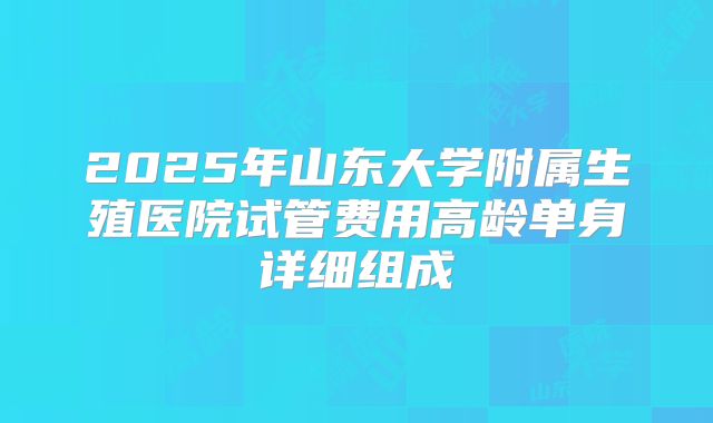 2025年山东大学附属生殖医院试管费用高龄单身详细组成