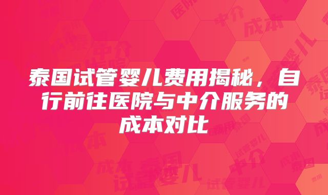 泰国试管婴儿费用揭秘，自行前往医院与中介服务的成本对比