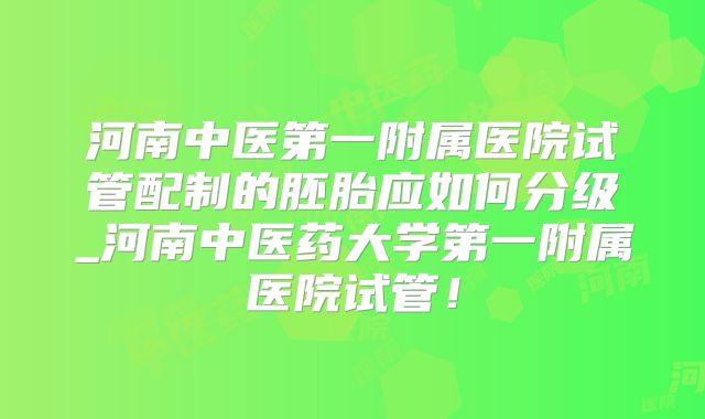 河南中医第一附属医院试管配制的胚胎应如何分级_河南中医药大学第一附属医院试管！
