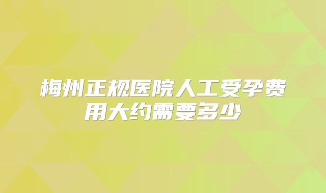 梅州正规医院人工受孕费用大约需要多少