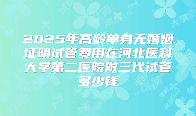 2025年高龄单身无婚姻证明试管费用在河北医科大学第二医院做三代试管多少钱