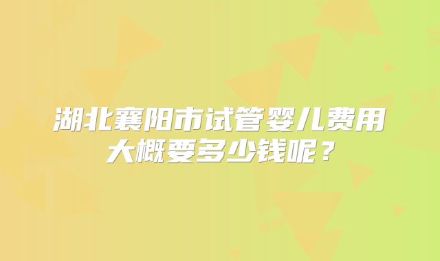 湖北襄阳市试管婴儿费用大概要多少钱呢?