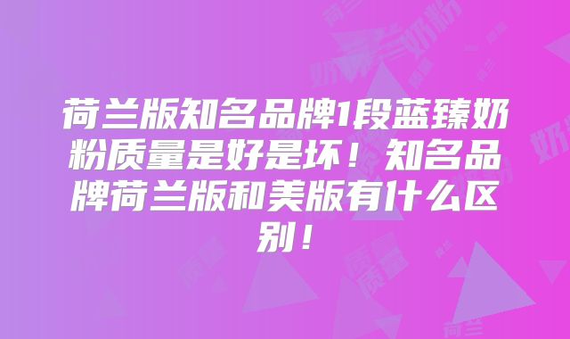 荷兰版知名品牌1段蓝臻奶粉质量是好是坏！知名品牌荷兰版和美版有什么区别！