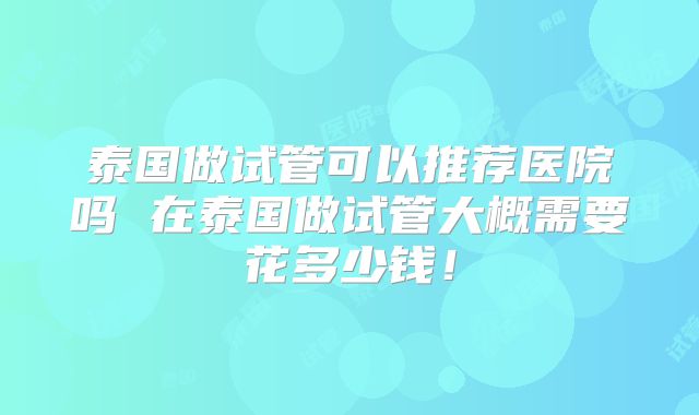 泰国做试管可以推荐医院吗 在泰国做试管大概需要花多少钱！