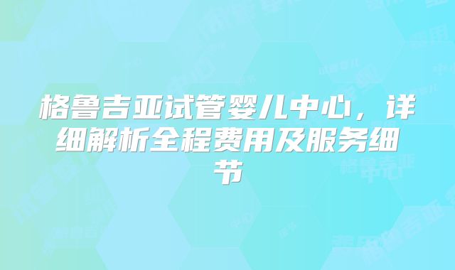 格鲁吉亚试管婴儿中心，详细解析全程费用及服务细节