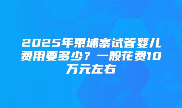 2025年柬埔寨试管婴儿费用要多少？一般花费10万元左右