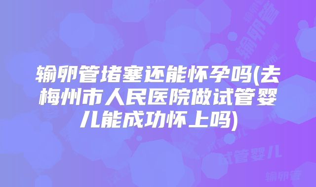输卵管堵塞还能怀孕吗(去梅州市人民医院做试管婴儿能成功怀上吗)