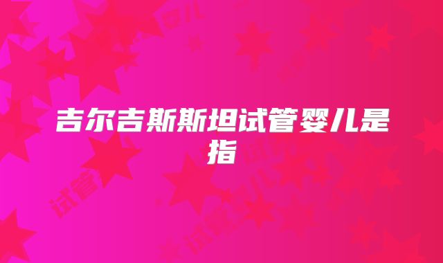 吉尔吉斯斯坦试管婴儿是指